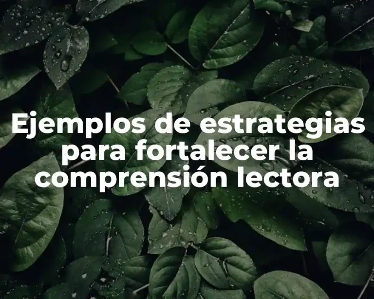 Ejemplos de estrategias para fortalecer la comprensión lectora