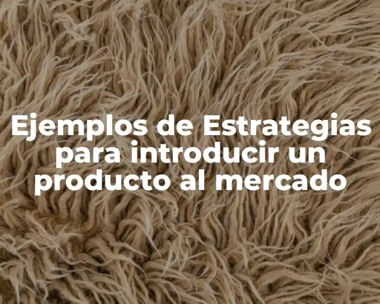 Ejemplos de Estrategias para introducir un producto al mercado