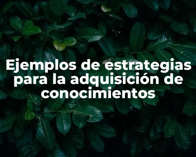 Ejemplos de estrategias para la adquisición de conocimientos