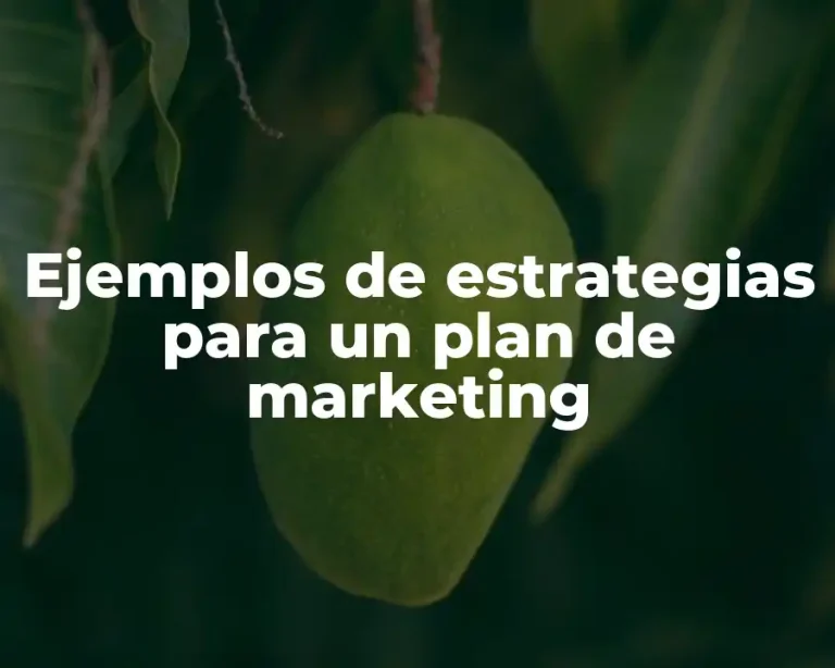 Ejemplos de estrategias para un plan de marketing