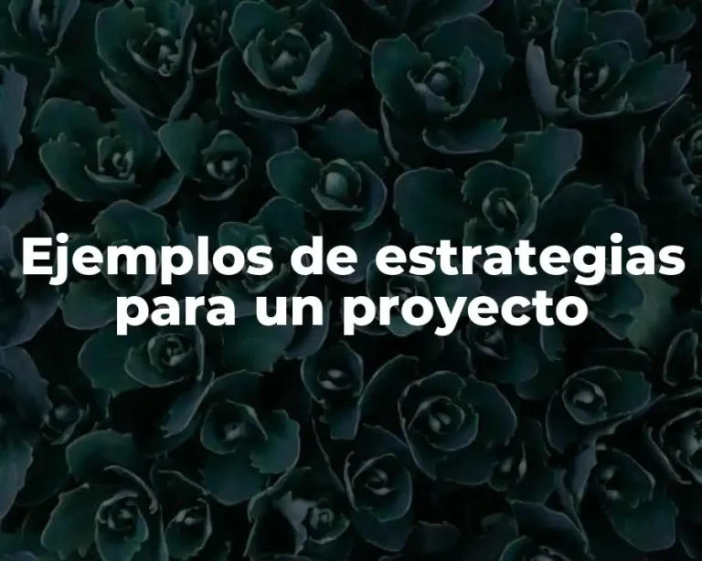 Ejemplos de estrategias para un proyecto
