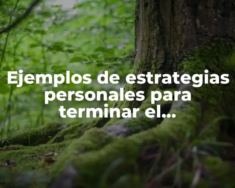 Ejemplos de estrategias personales para terminar el cuatrimestre