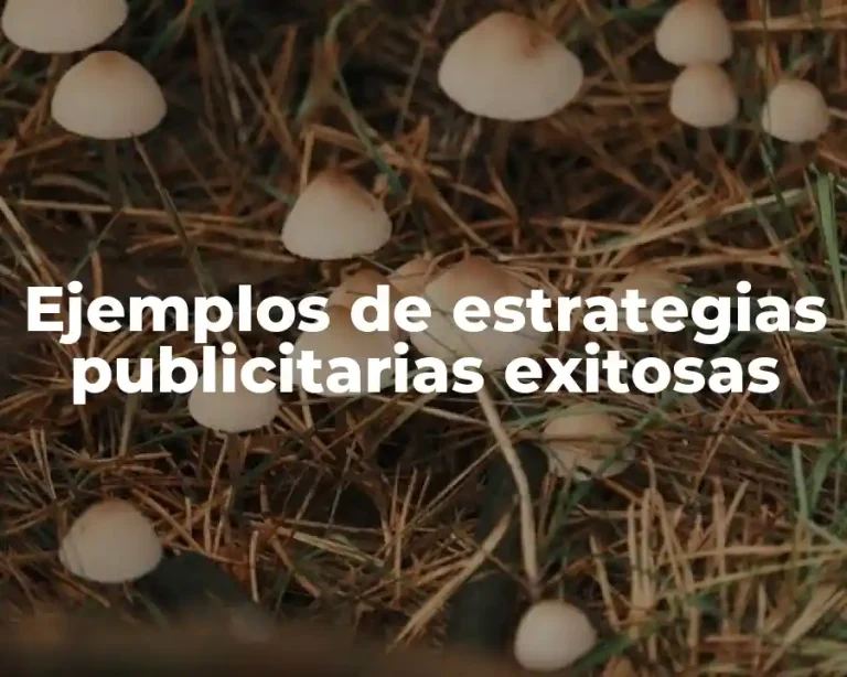 Ejemplos de estrategias publicitarias exitosas