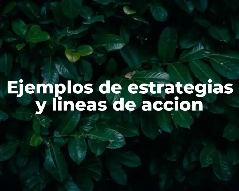 Ejemplos de estrategias y lineas de accion
