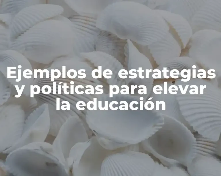 Ejemplos de estrategias y políticas para elevar la educación