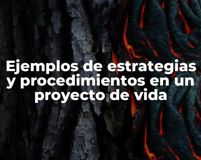 Ejemplos de estrategias y procedimientos en un proyecto de vida