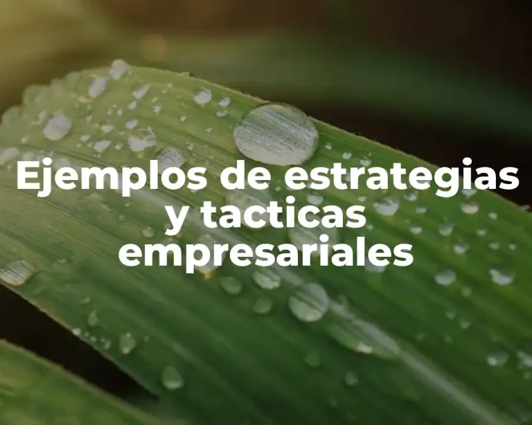 Ejemplos de estrategias y tacticas empresariales