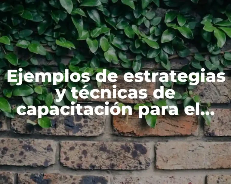 Ejemplos de estrategias y técnicas de capacitación para el mejoramiento