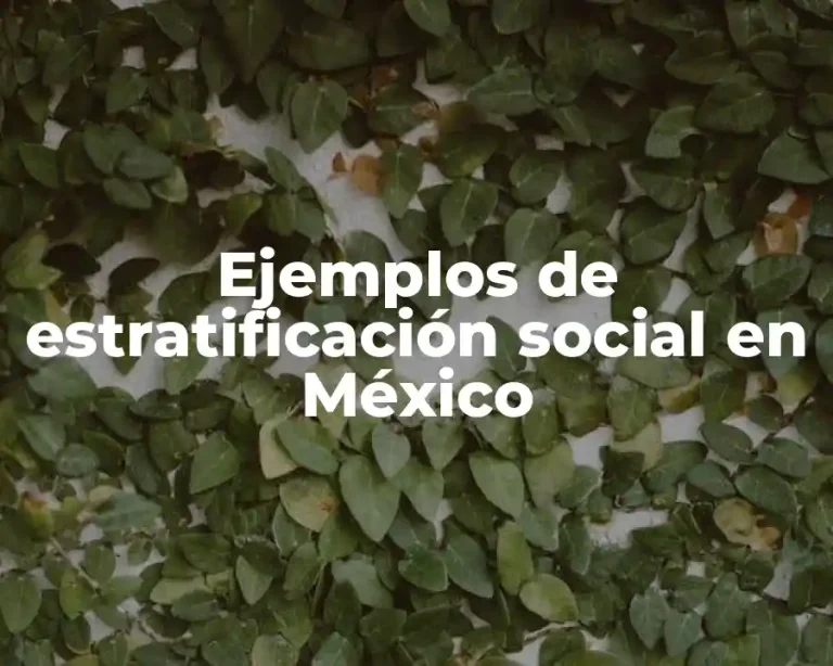 Ejemplos de estratificación social en México