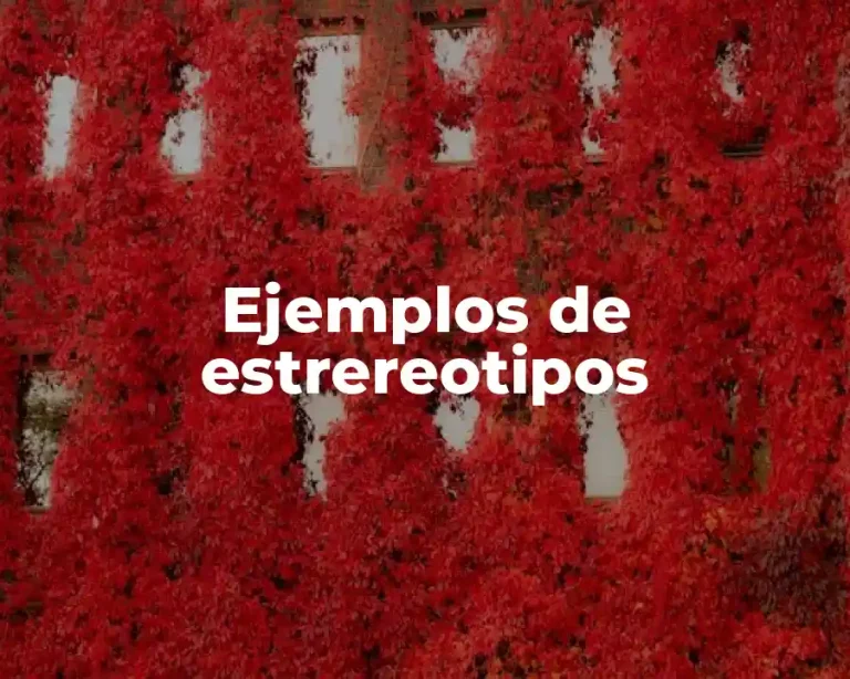 Ejemplos de estrereotipos