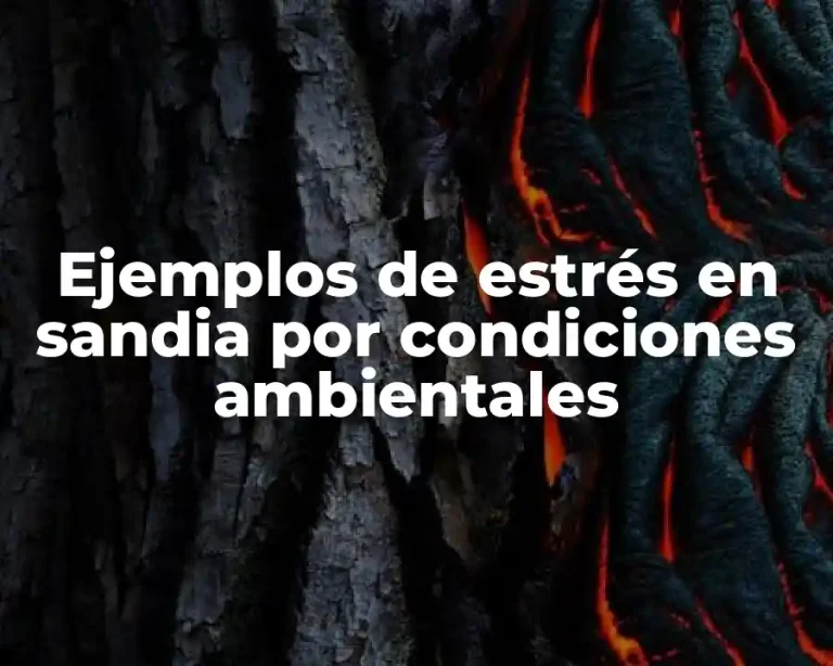 Ejemplos de estrés en sandia por condiciones ambientales