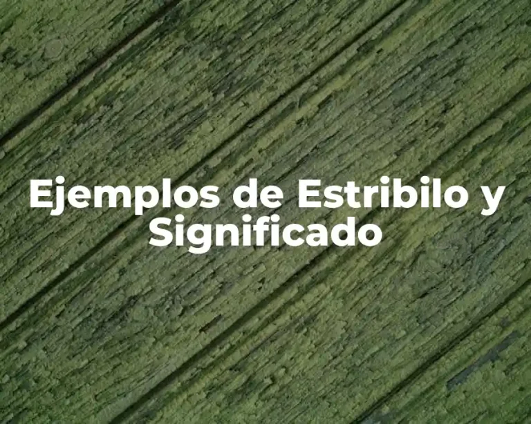 Ejemplos de Estribilo y Significado