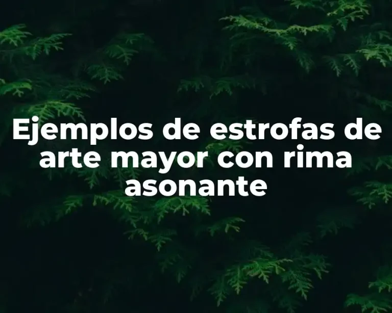 Ejemplos de estrofas de arte mayor con rima asonante