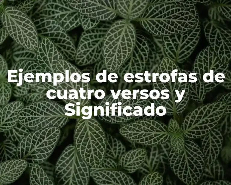 Ejemplos de estrofas de cuatro versos y Significado