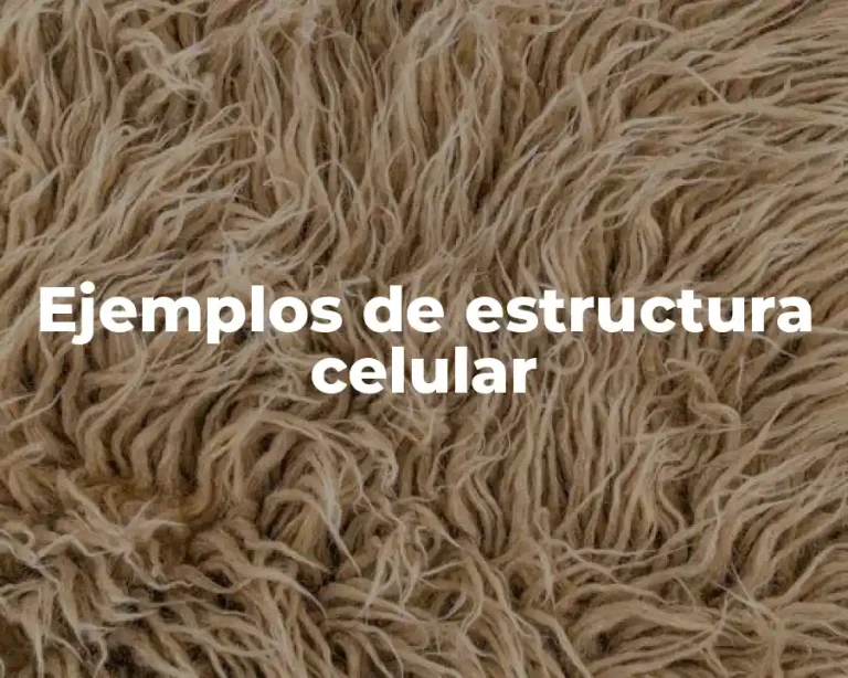 Ejemplos de estructura celular