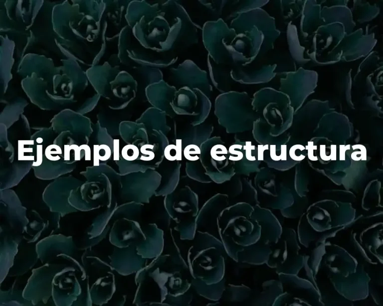 Ejemplos de estructura