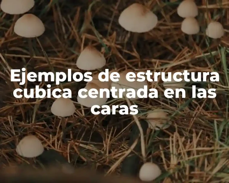 Ejemplos de estructura cubica centrada en las caras