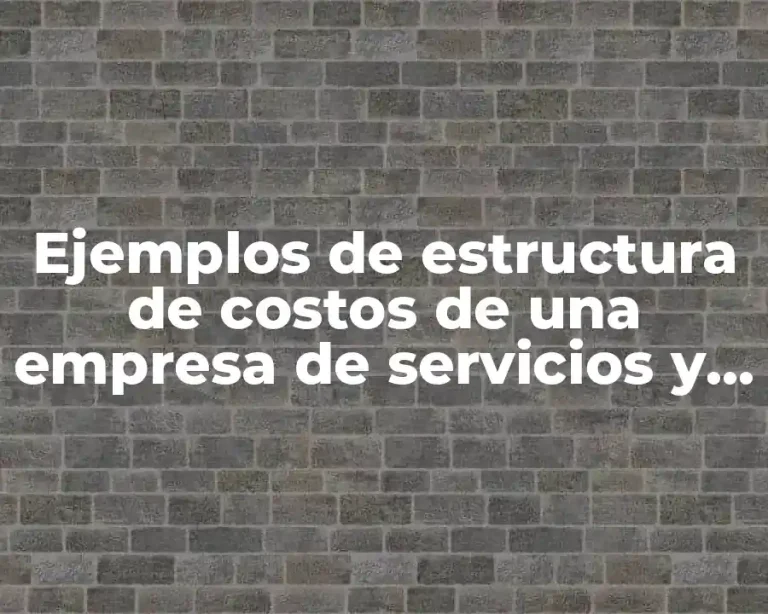 Ejemplos de estructura de costos de una empresa de servicios y Significado