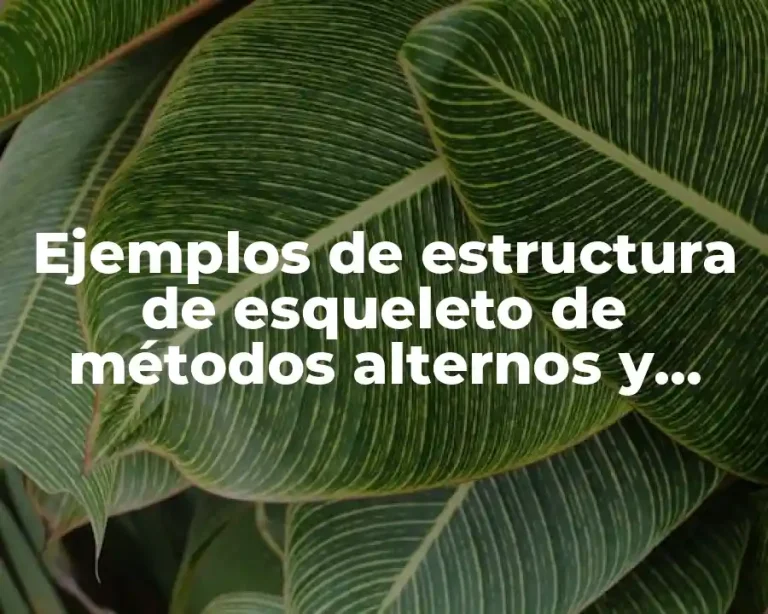 Ejemplos de estructura de esqueleto de métodos alternos y Significado