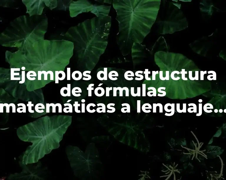 Ejemplos de estructura de fórmulas matemáticas a lenguaje claro