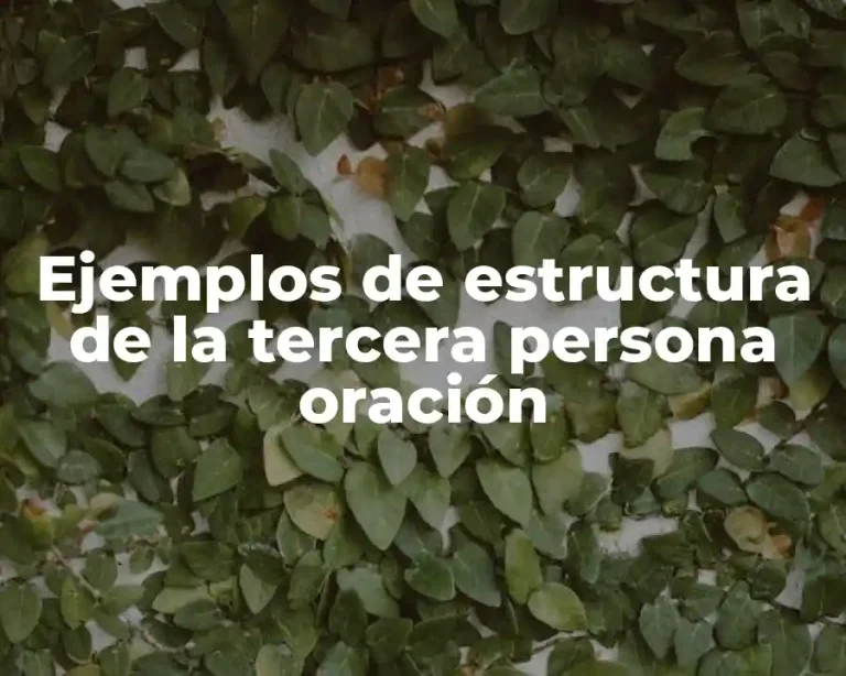 Ejemplos de estructura de la tercera persona oración