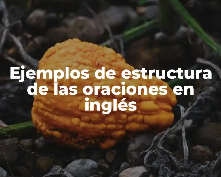 Ejemplos de estructura de las oraciones en inglés