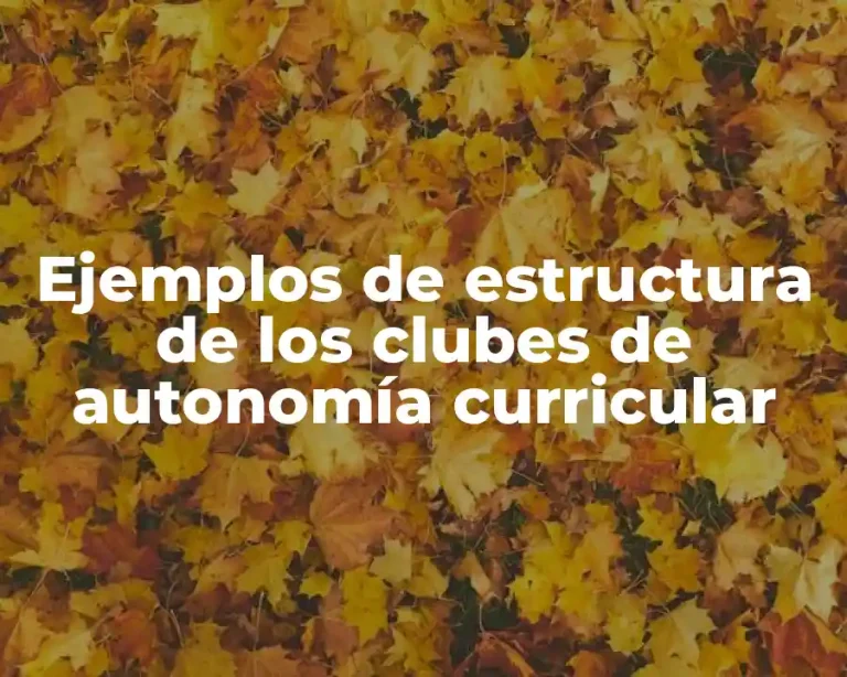 Ejemplos de estructura de los clubes de autonomía curricular