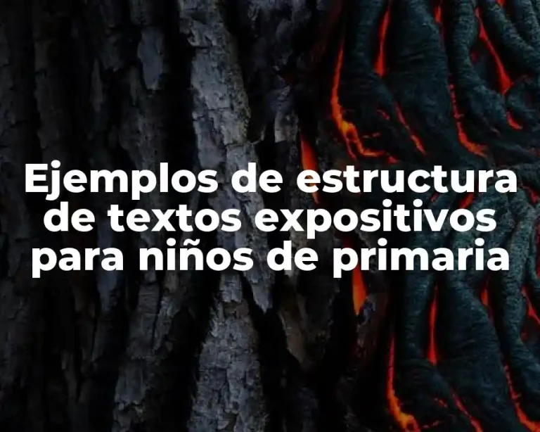 Ejemplos de estructura de textos expositivos para niños de primaria