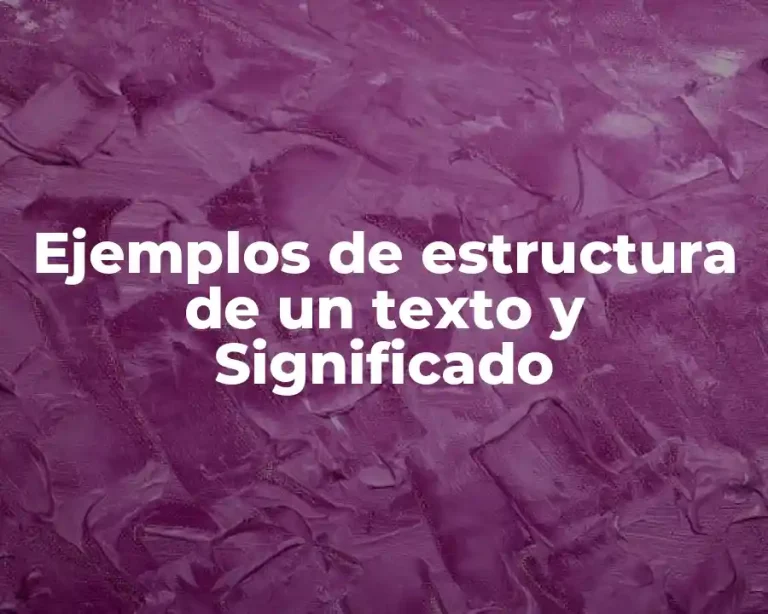 Ejemplos de estructura de un texto y Significado