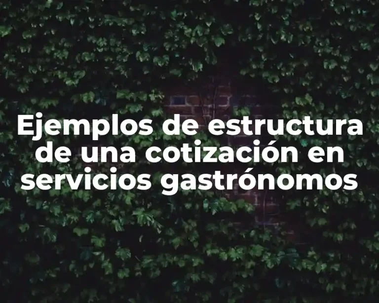 Ejemplos de estructura de una cotización en servicios gastrónomos