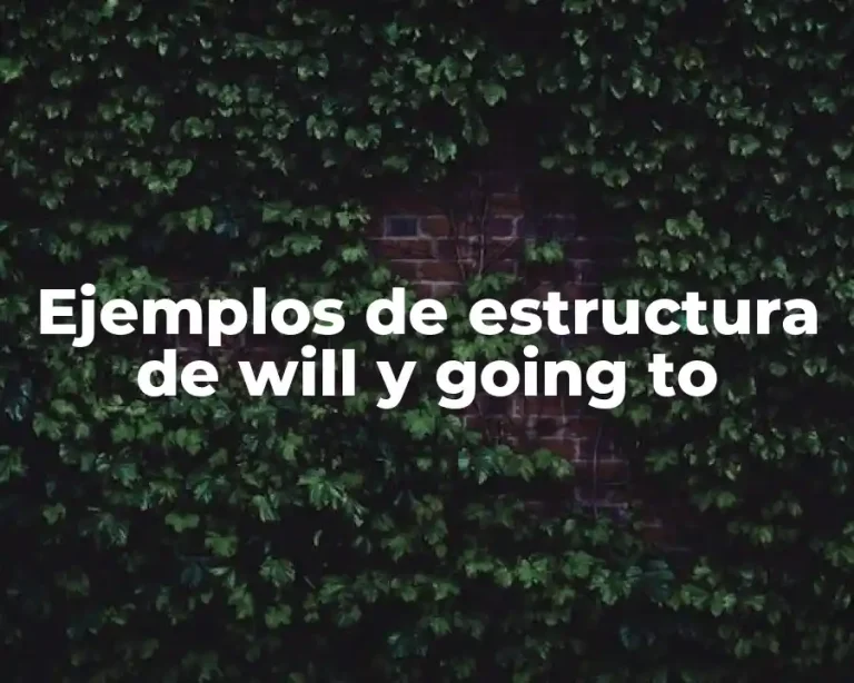 Ejemplos de estructura de will y going to