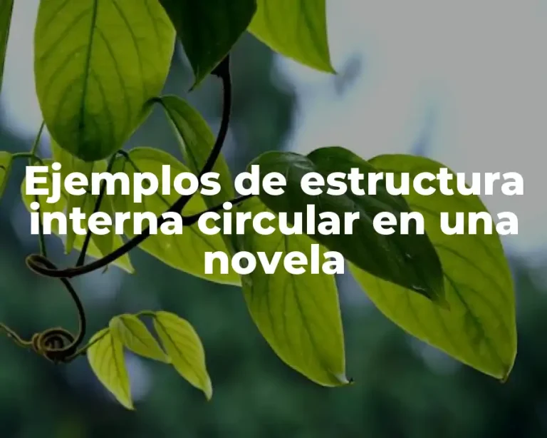 Ejemplos de estructura interna circular en una novela