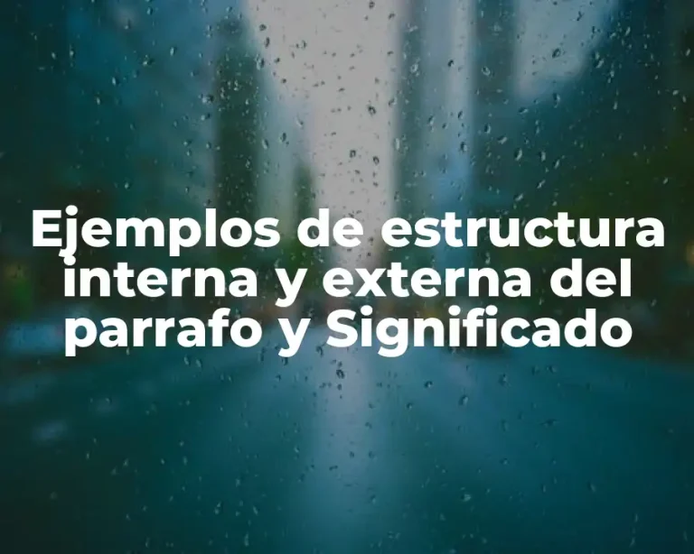 Ejemplos de estructura interna y externa del parrafo y Significado