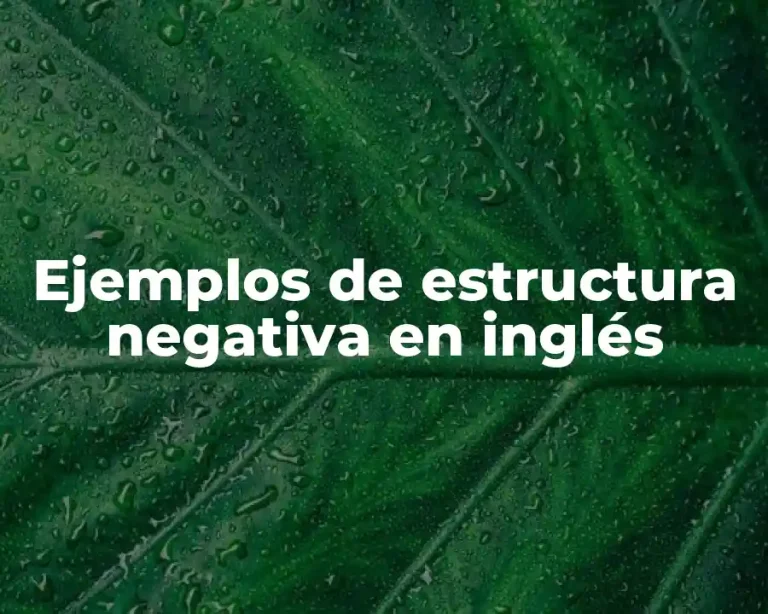 Ejemplos de estructura negativa en inglés