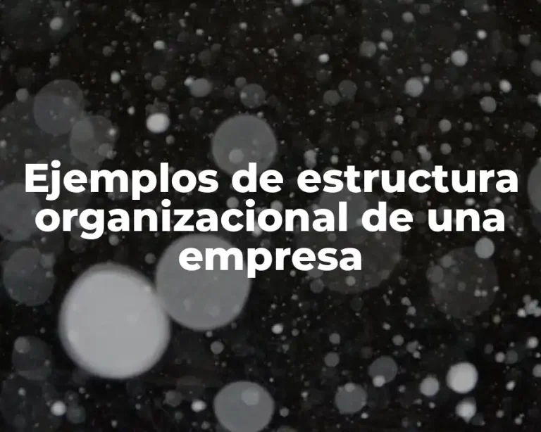 Ejemplos de estructura organizacional de una empresa