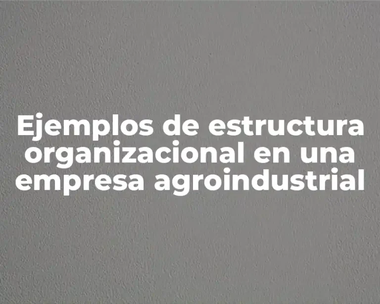 Ejemplos de estructura organizacional en una empresa agroindustrial