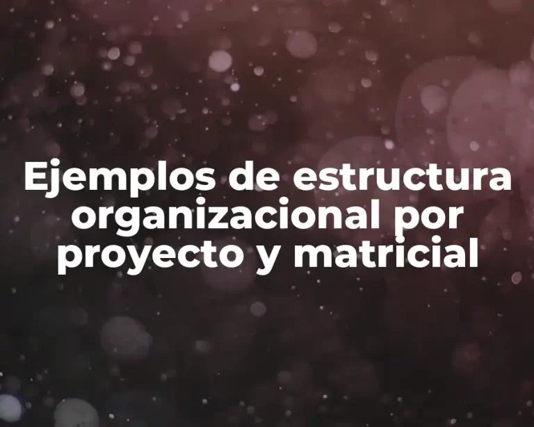 Ejemplos de estructura organizacional por proyecto y matricial