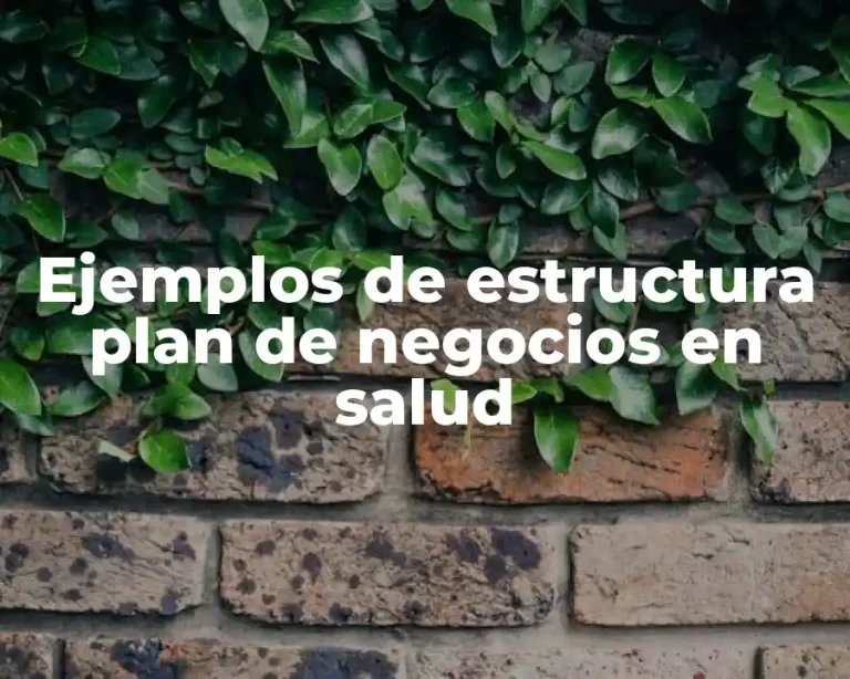 Ejemplos de estructura plan de negocios en salud