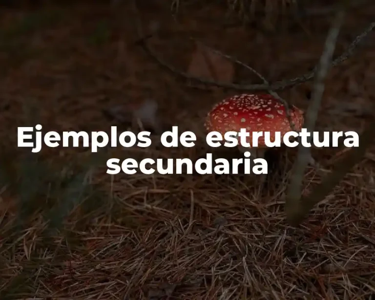 Ejemplos de estructura secundaria