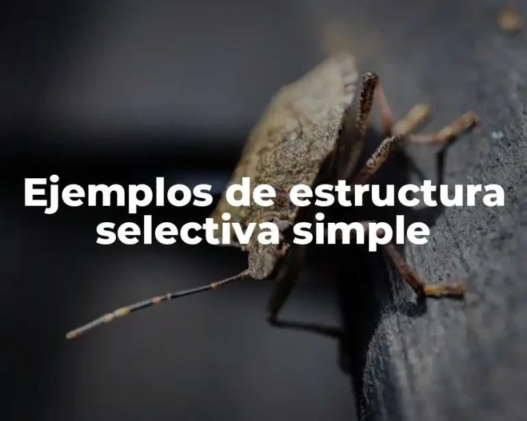 Ejemplos de estructura selectiva simple