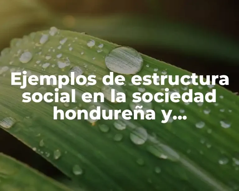 Ejemplos de estructura social en la sociedad hondureña y Significado
