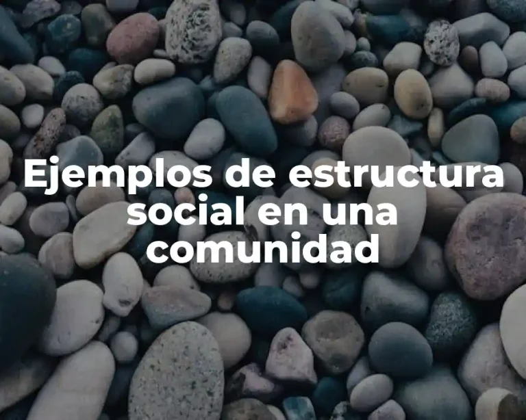 Ejemplos de estructura social en una comunidad
