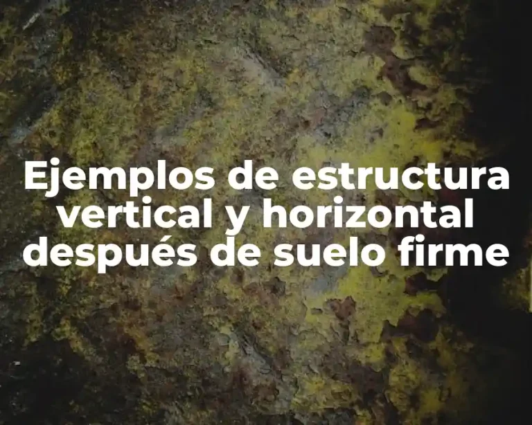 Ejemplos de estructura vertical y horizontal después de suelo firme