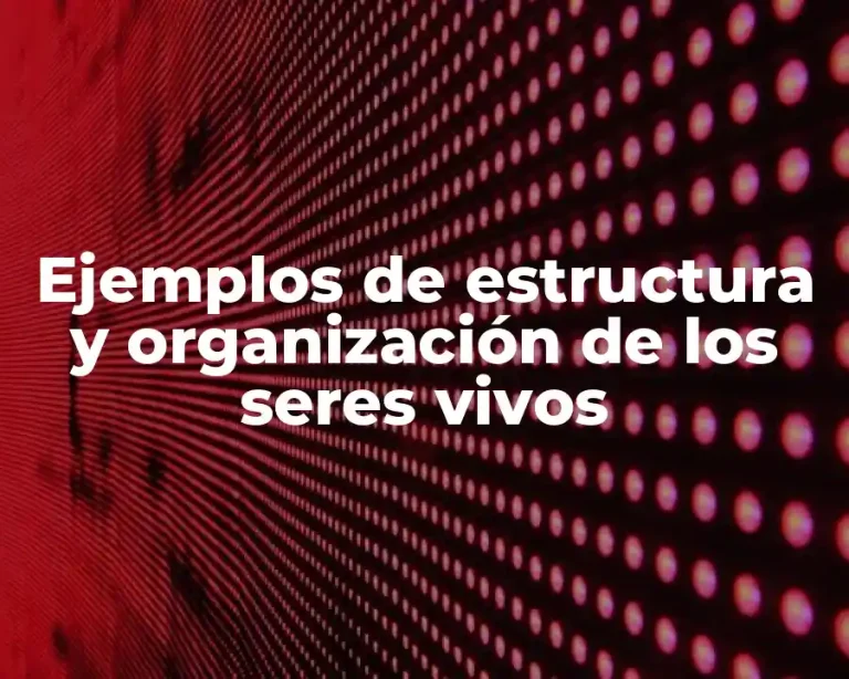 Ejemplos de estructura y organización de los seres vivos