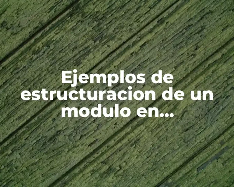 Ejemplos de estructuracion de un modulo en programacion