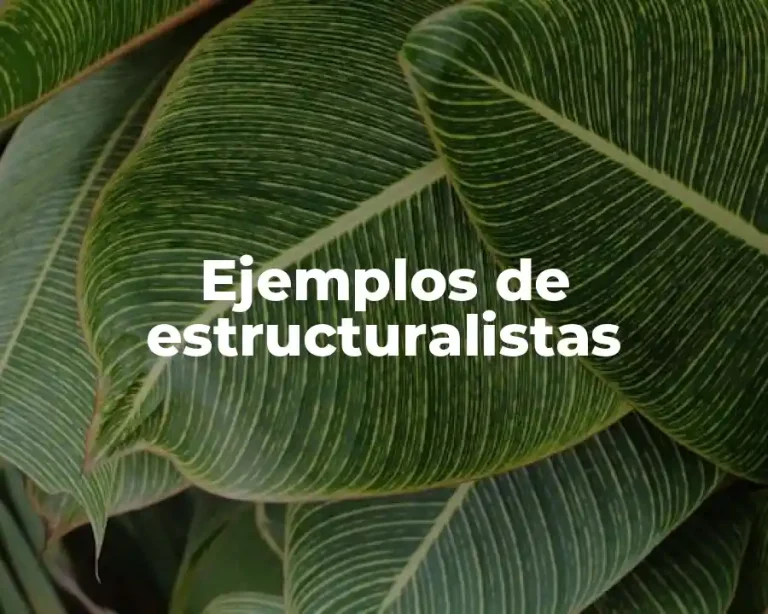 Ejemplos de estructuralistas