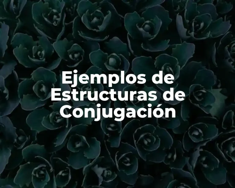 Ejemplos de Estructuras de Conjugación