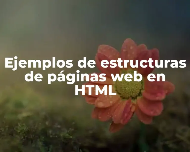 Ejemplos de estructuras de páginas web en HTML
