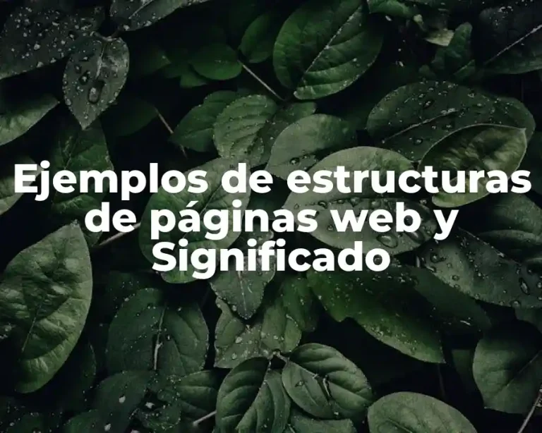 Ejemplos de estructuras de páginas web y Significado
