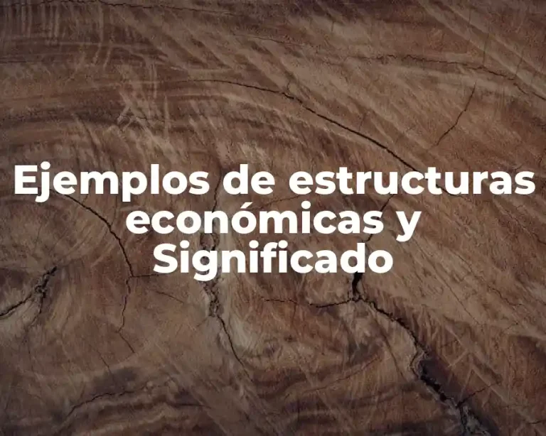 Ejemplos de estructuras económicas y Significado
